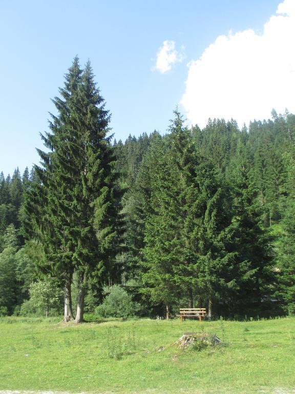 Schwarzenbacher Lungotz Ruang foto