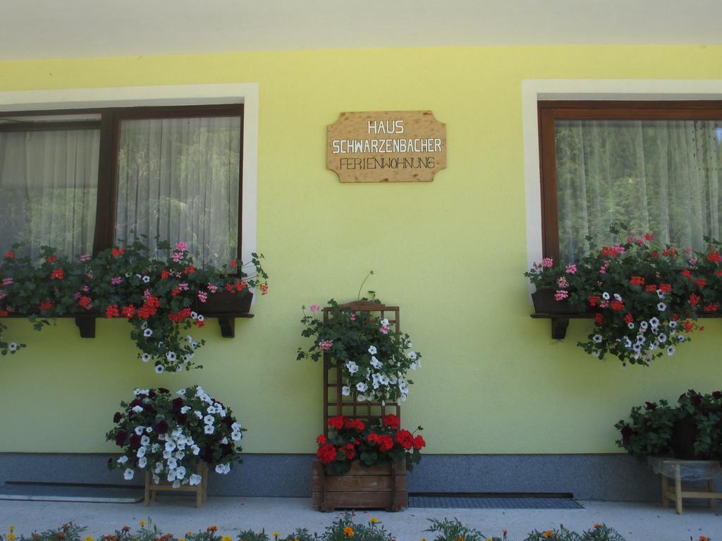Schwarzenbacher Lungotz Ruang foto